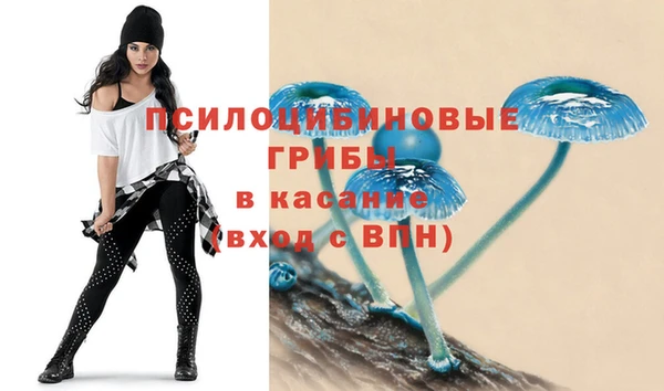 скорость Алзамай