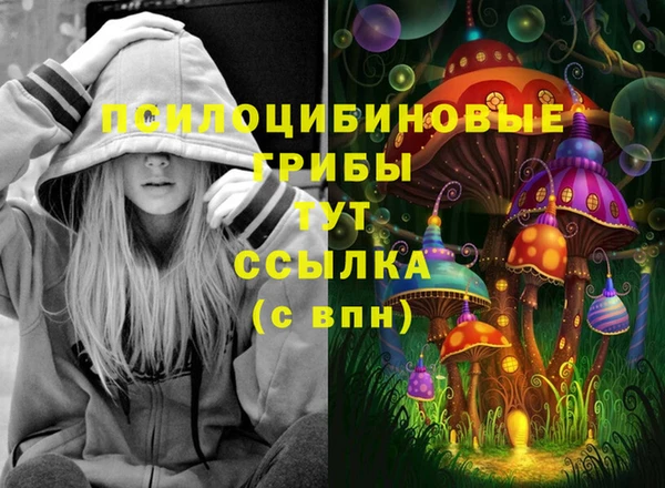 ГАЛЛЮЦИНОГЕННЫЕ ГРИБЫ Алексин