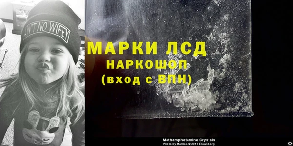 ГАЛЛЮЦИНОГЕННЫЕ ГРИБЫ Алексин