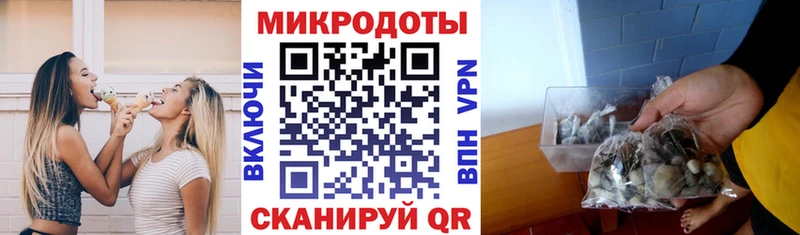 купить  цена  Ахтырский  Псилоцибиновые грибы Psilocybe 